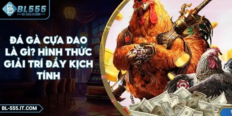 Đá Gà Cựa Dao Là Gì? Hình Thức Giải Trí Đầy Kịch Tính