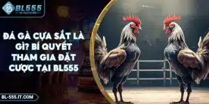 Đá Gà Cựa Sắt Là Gì? Bí Quyết Tham Gia Đặt Cược Tại BL555