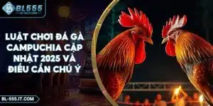 Luật Chơi Đá Gà Campuchia Cập Nhật 2025 Và Điều Cần Chú Ý