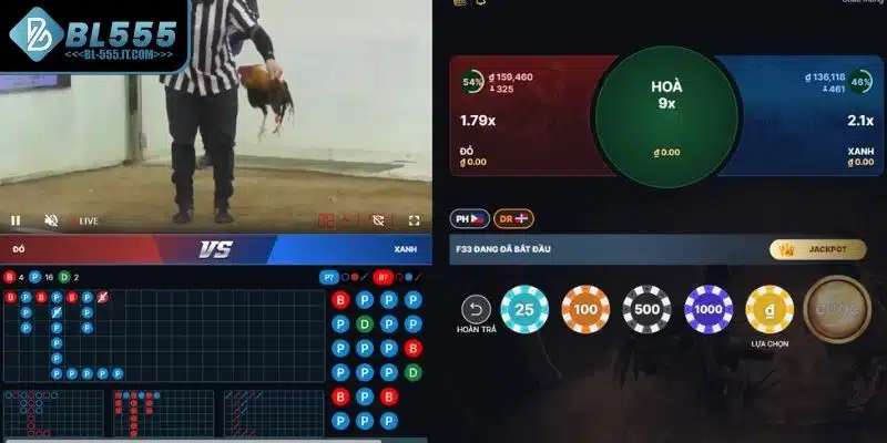 Lưu ý rất quang trọng khi chơi đá gà Campuchia