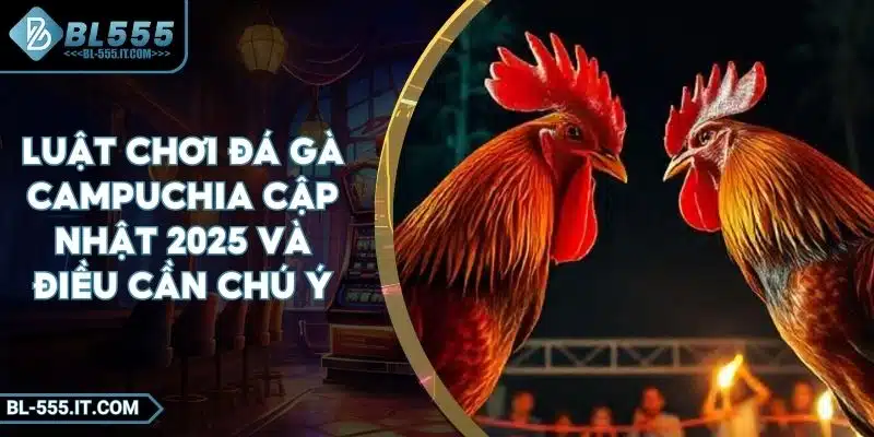 Luật Chơi Đá Gà Campuchia Cập Nhật 2025 Và Điều Cần Chú Ý